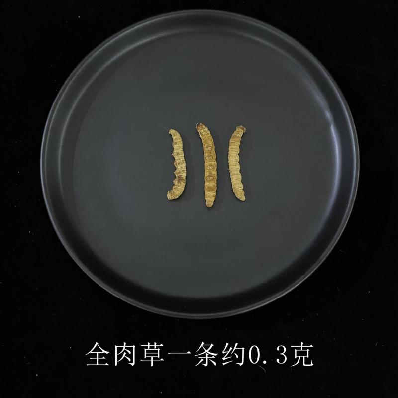 虫草中的性价比**长期供应正宗有保障