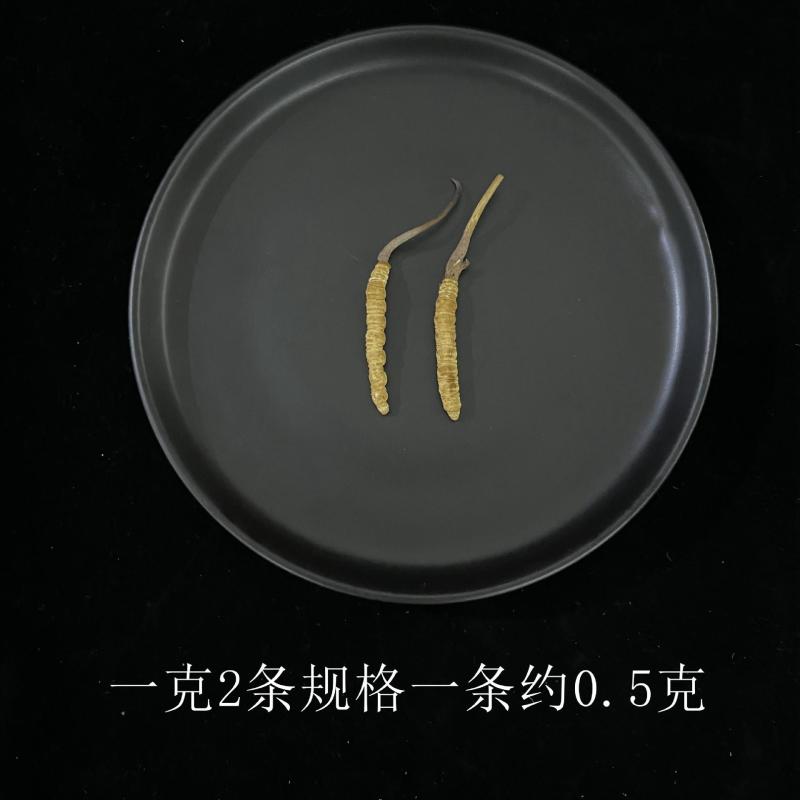 虫草中的性价比**长期供应正宗有保障