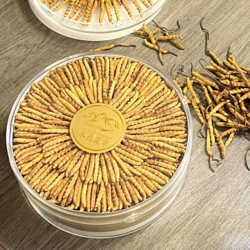 西藏冬虫夏草干货正宗精选虫草整条礼盒装一件批发包邮
