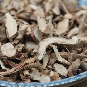 稀缺石菖蒲价格美丽正品保障长期供应
