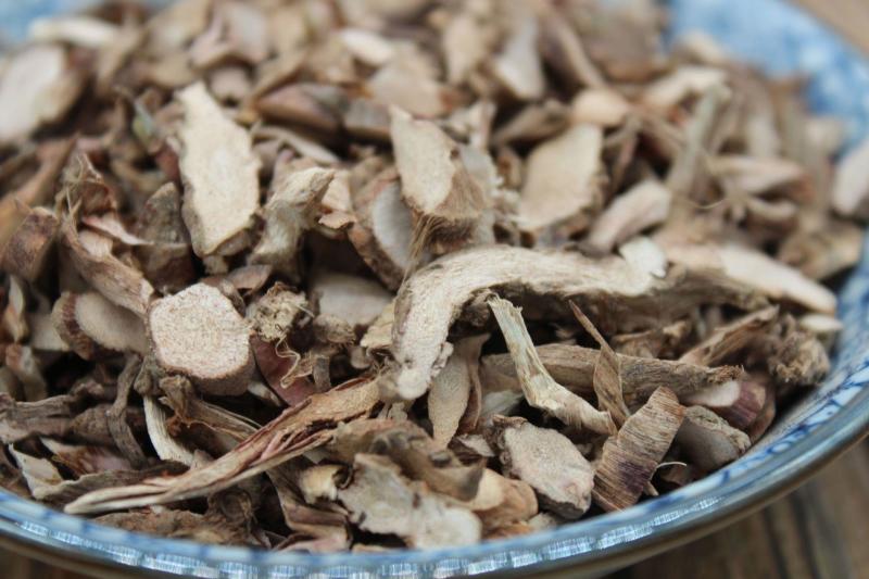 稀缺石菖蒲价格美丽正品保障长期供应