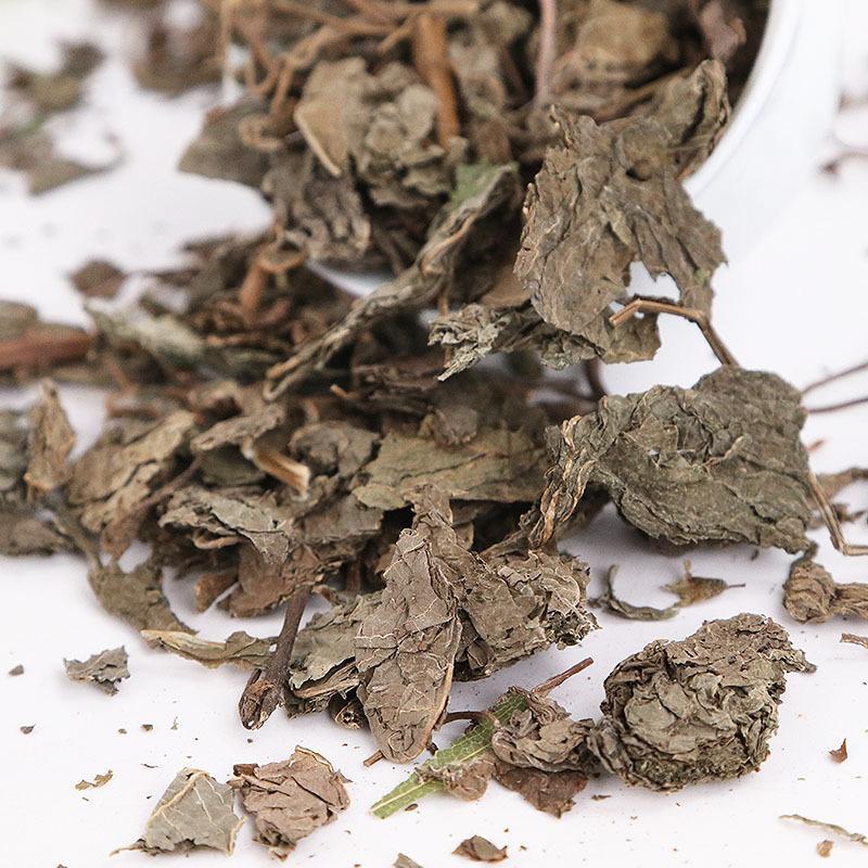 欢迎电话咨询新鲜紫苏叶随时供应自产自销品质有保障