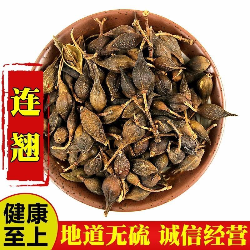 营养丰富正品全国供应连翘生态种植新鲜上市