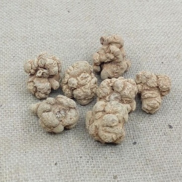 保质保量自产自销三七超高性价比健康无忧