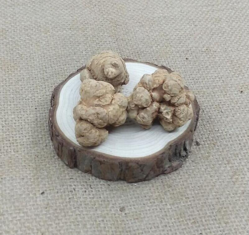保质保量自产自销三七超高性价比健康无忧