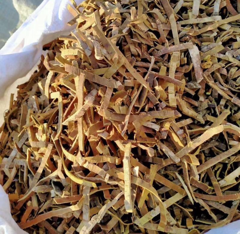 优质黄柏精品供应保质保量欢迎联系洽谈