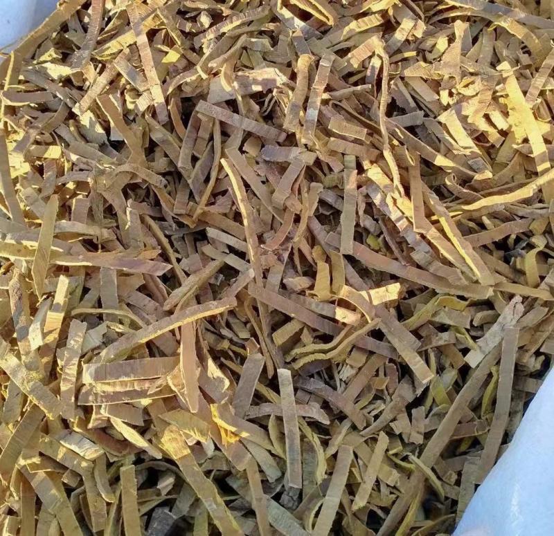 优质黄柏精品供应保质保量欢迎联系洽谈