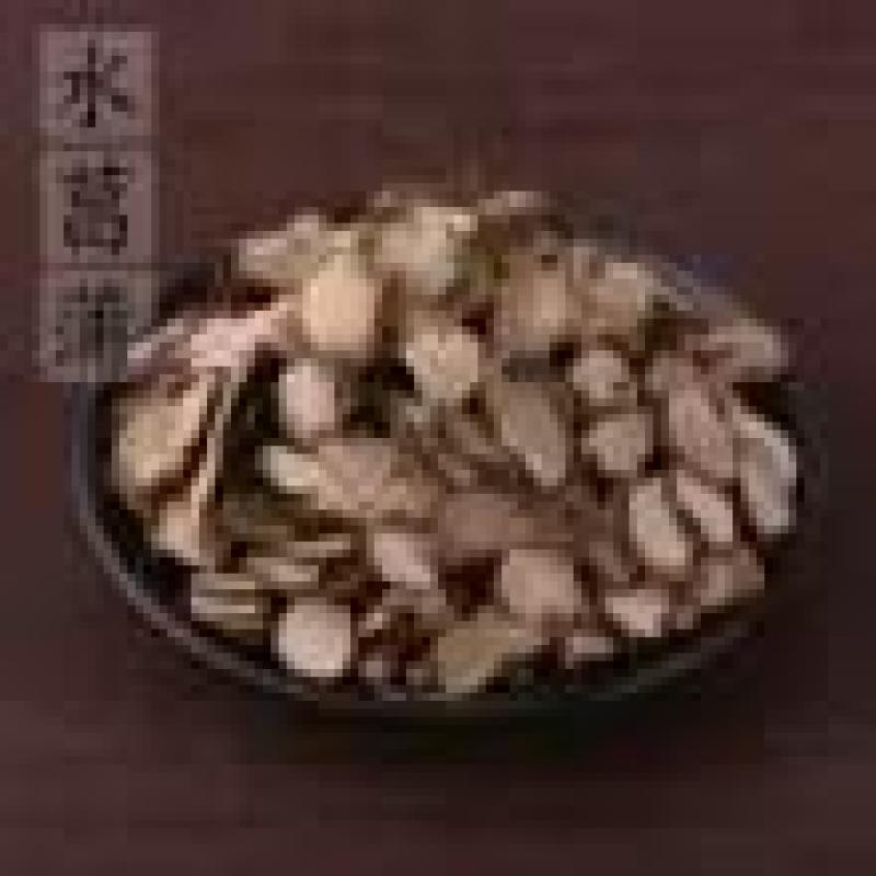 石菖蒲全网低价保质保量欢迎联系