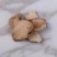 石菖蒲全网低价保质保量欢迎联系