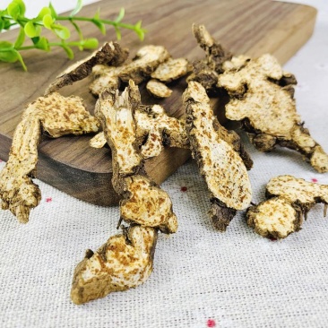 精选正宗苍术规格多样齐全详情欢迎电话咨询