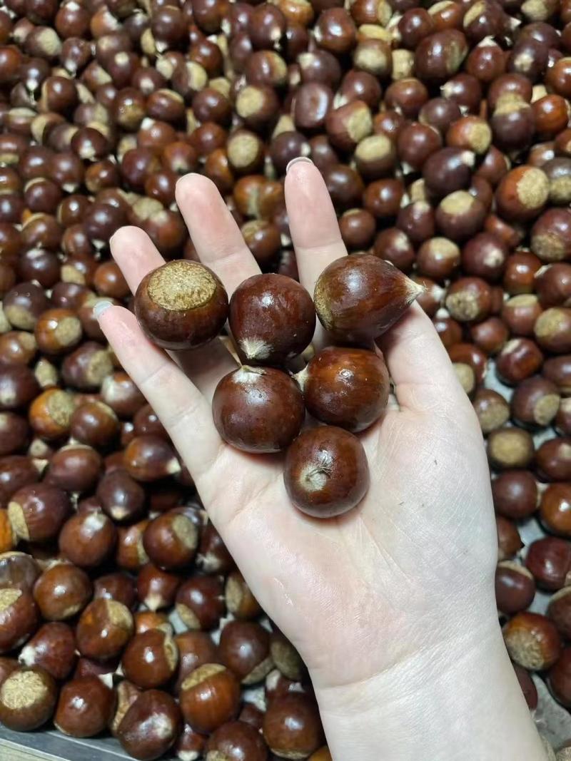 多种口味栗子整箱批发量大从优