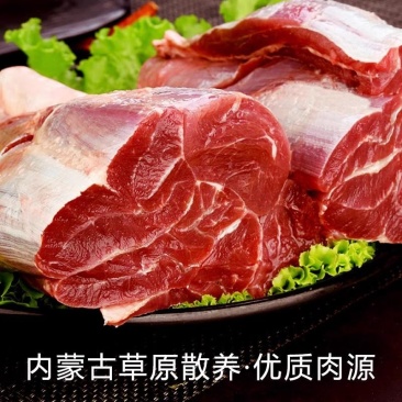 内蒙牛肉