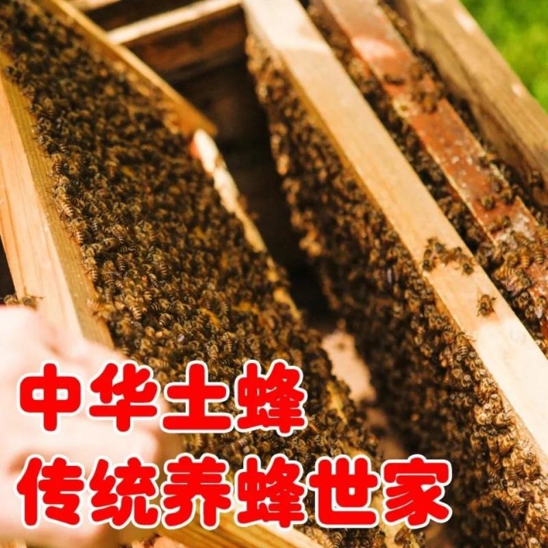 帝王级蜂蜜五倍花蜜百花蜜