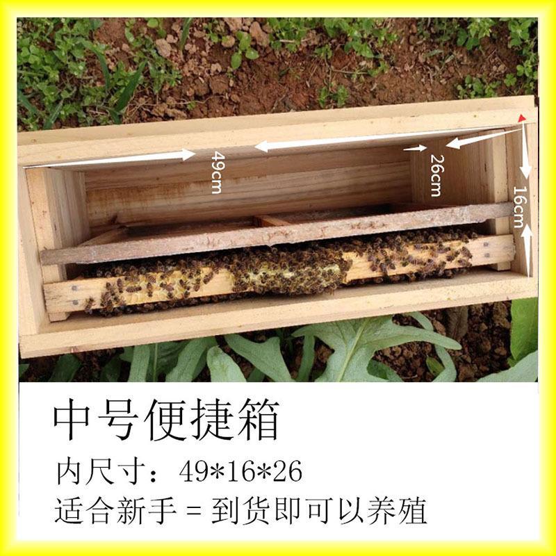 帝王级蜂蜜五倍花蜜百花蜜