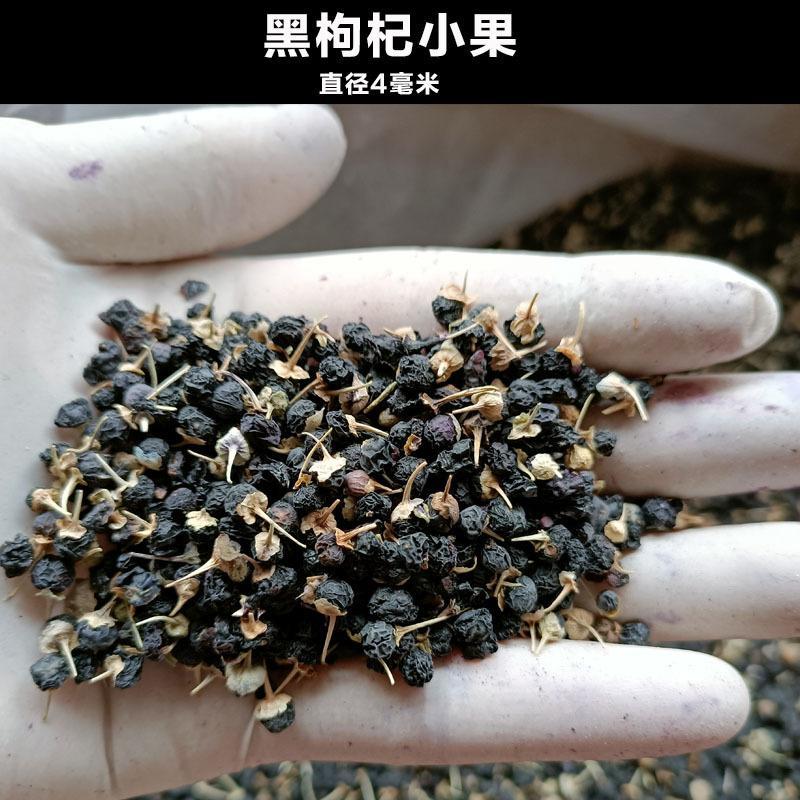 ***枸杞超高性价比**一手货源保障