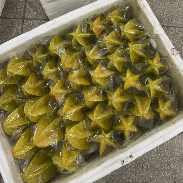 保质保量杨桃欢迎联系