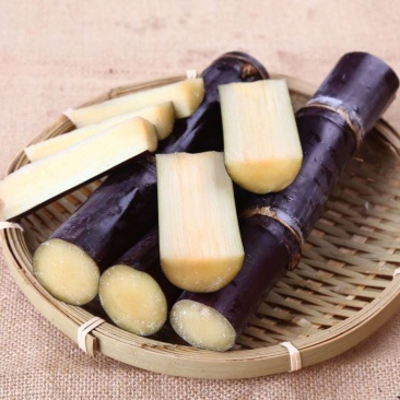 全网优质甘蔗量大从优欢迎电话咨询