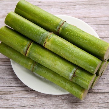 正宗甘蔗量大优惠