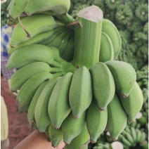香蕉应季超高性价比订多包送