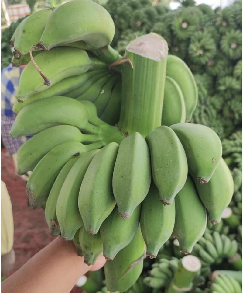 香蕉应季超高性价比订多包送