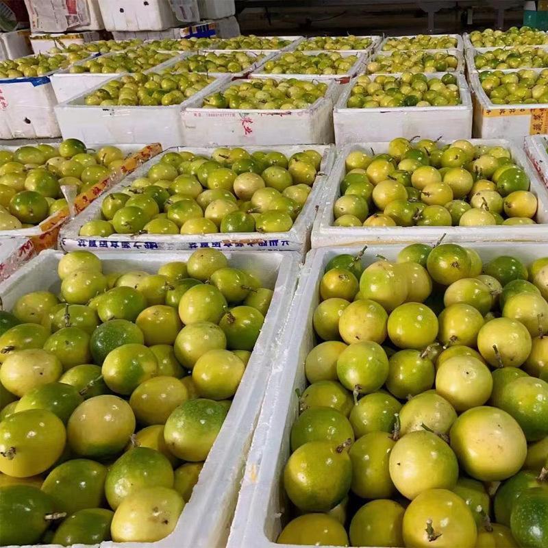 甜度高品质好百香果