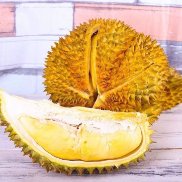 应季榴莲支持拿样