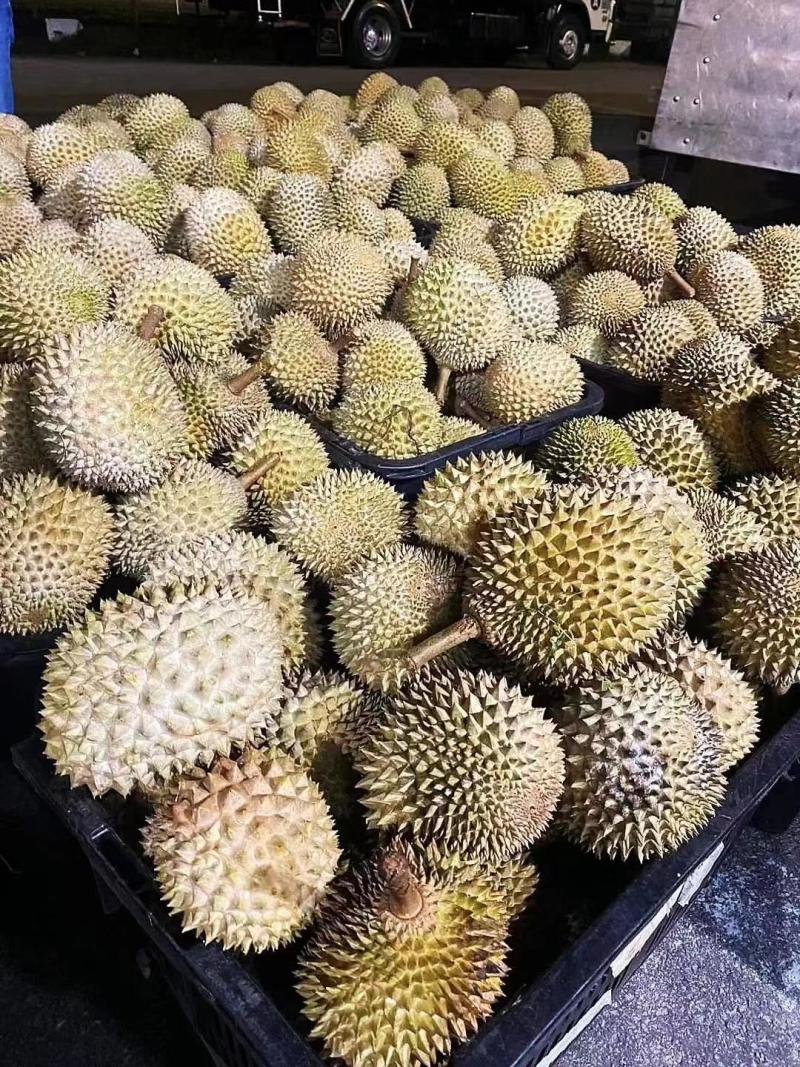 营养多汁价格美丽榴莲