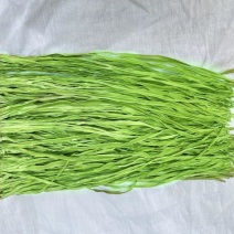 正品贡菜应季供应欢迎联系
