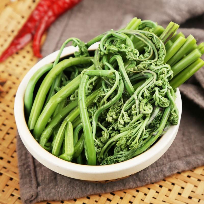 天然新鲜蕨菜全国供应下单秒发
