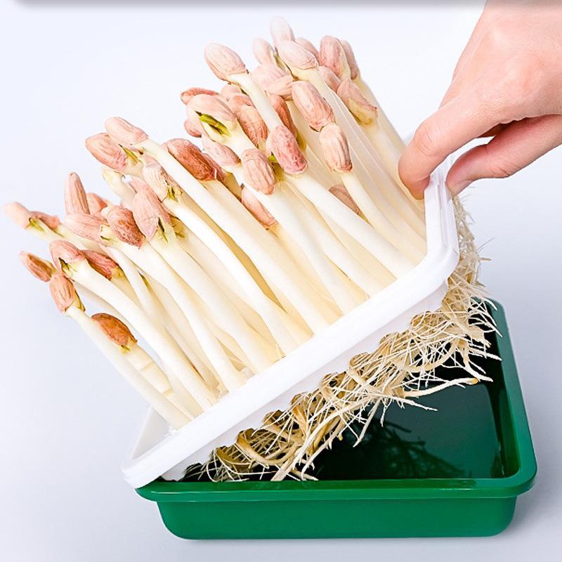 ***花生芽长期供应欢迎联系