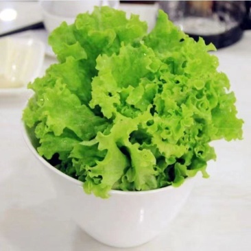 天然新鲜生菜源头供应价格美丽