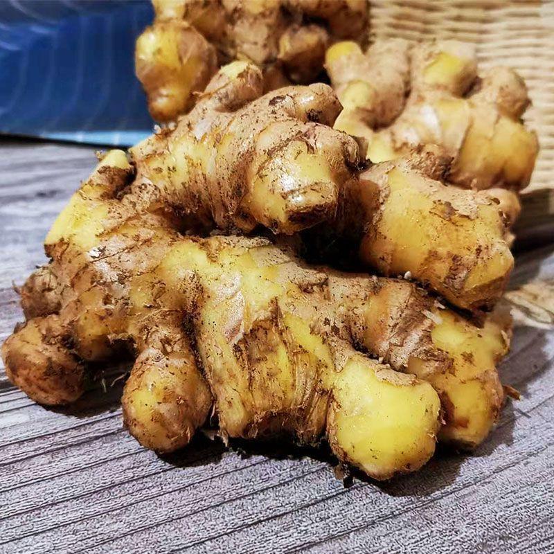 天然新鲜生姜一手货源欢迎联系
