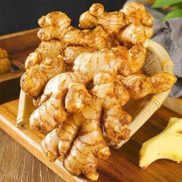 ***生姜全国供应量大从优