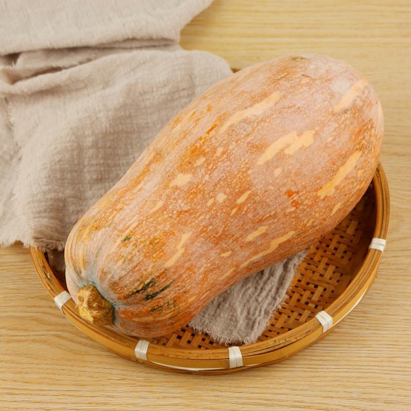 天然新鲜南瓜长期供应量大优惠