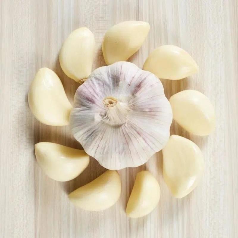 正宗大蒜现货秒发欢迎联系
