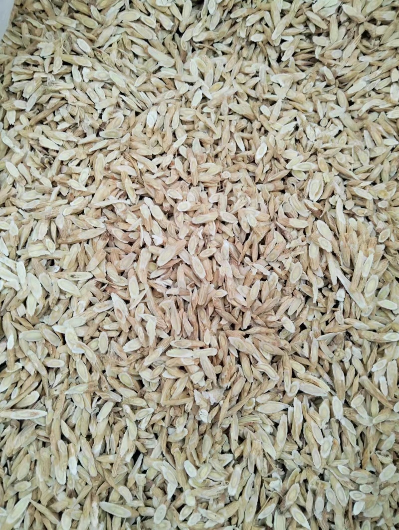 正规货源随时可聊长期有货品质保证黄芪火爆指甲片热卖中
