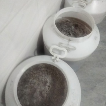蜂蜜基地直发性价比保证质量优