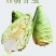 天津精品牛心甘蓝大量上市，欢迎各位老板前来采购