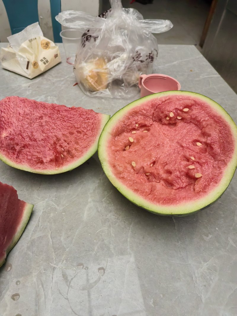 无籽麒麟西瓜已大量上市产地直供大量有货质量保证全国对接