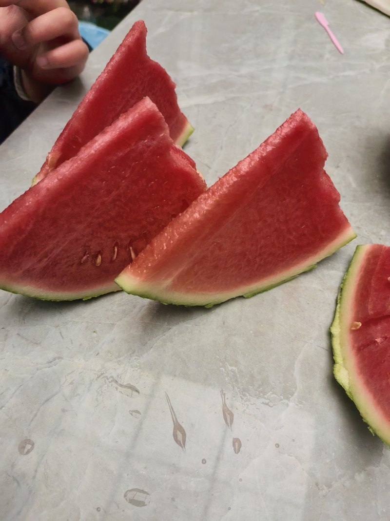 无籽麒麟西瓜已大量上市产地直供大量有货质量保证全国对接
