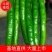 广西百色青线椒大量上市，欢迎老板们电话咨询。