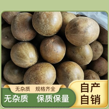 厂家直销罗汉果价格美丽实惠货源充足无忧
