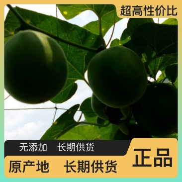 新鲜罗汉果长期供货正品保障24小时在线服务专业配送