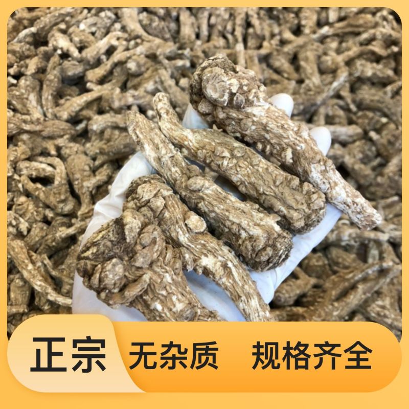 当归货源充足正品保障随时可聊健康当归等待您