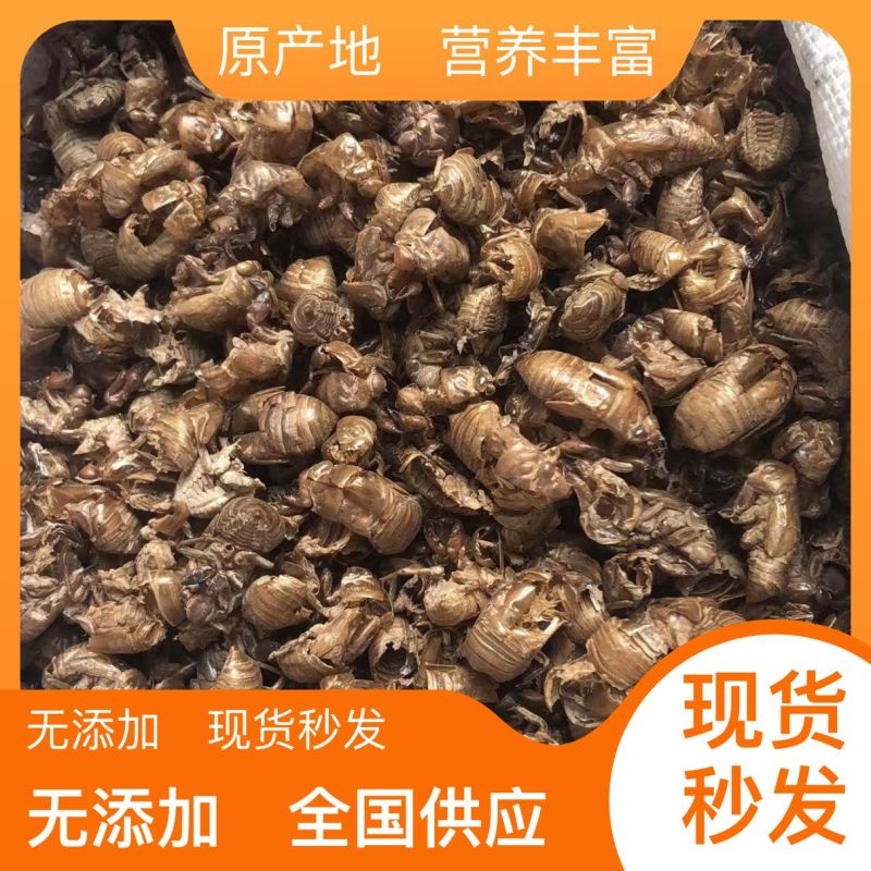 蝉蜕现货秒发自产自销欢迎您的电话咨询