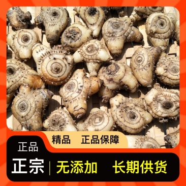 量大从优随时可聊现货秒发白芨