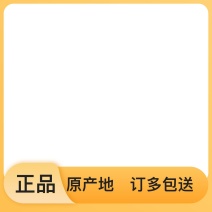货源稳定价格美丽石菖蒲正品特惠品质上乘值得信赖