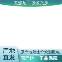 一手货源正规货源欢迎电话咨询新鲜三七上市