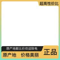 黄柏产地直发保质保量规格齐全优质好货任你选