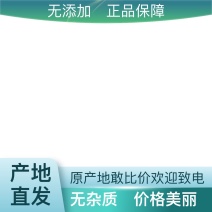 正品女贞子随时有货全网低价品质实惠双重